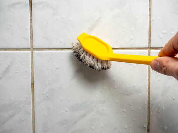 Best Toxic Mold Removal  in Mount Morris, IL