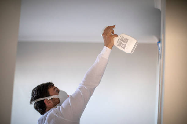 Best Mold Remediation  in Mount Morris, IL